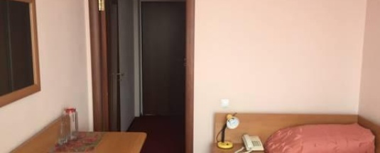 1-местный номер стандарт с 1 односпальной кроватью (с завтраком) в Алейка