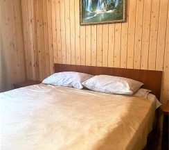 Двухместный стандартный номер (основной корпус) в Ирбис