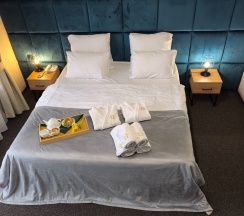 Полулюкс (DBL/SGL) в Никольское