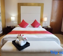 Студия Standard в Xincheng Hotel - Hohhot