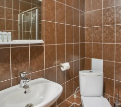 Двухместный полулюкс двуспальная кровать в Altyn Eco Park