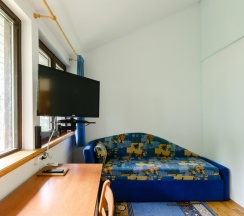 1-местный номер стандарт в Плесков