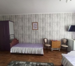 Трехместный номер с двуспальной кроватью и с односпальной кроватью + 2 доп. места (раскладной диван) в Зеленая крыша