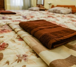 Стандартный 3х местный номер 1 этаж в Green oasis Vavilon