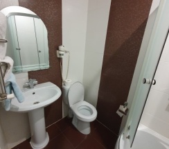 Люкс однокомнатный в Астра