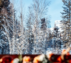 Шале Комфорт Геш в Комфорт Геш