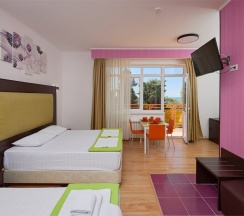 Стандарт 3-х местный с балконом в Диса