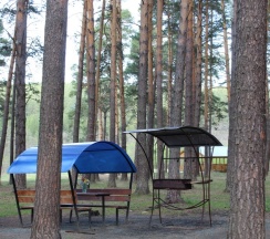 Дом с мангальной зоной в Осетровский пруд
