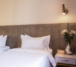 Двухместный номер Deluxe с красивым видом из окна 2 отдельные кровати в Orient Hotel Bishkek (Ориент отель Бишкек)