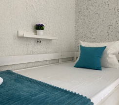 Одноместный номер Эконом в Краски