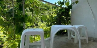 Туапсе: Гостевой дом Пальма