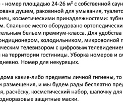 Люкс с сауной в City hotel