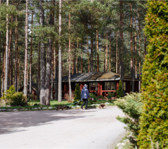 номер люкс №21,22 мансарда в Green village