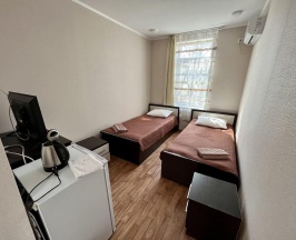 Номер стандарт с 2 односпальными кроватями в Надежда