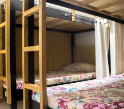 Кровать в общем номере в Bunks Hostel