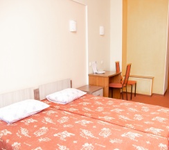 Стандартный двухместный номер в Пингвин