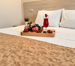 4х местный стандарт с французским балконом в Морская волна