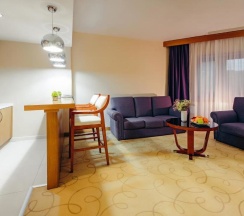 Апартаменты с видом на город в Dedeman Oskemen Hotel