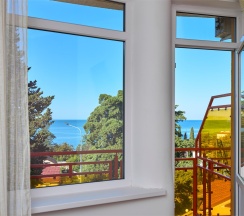 Стандарт семейный ПЛЮС с балконом в Диса