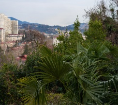 Стандарт с балконом в Bellagio