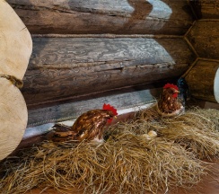 Коттедж "Сибирский" в ArtiLand