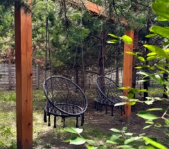 black haus в Magic Camp