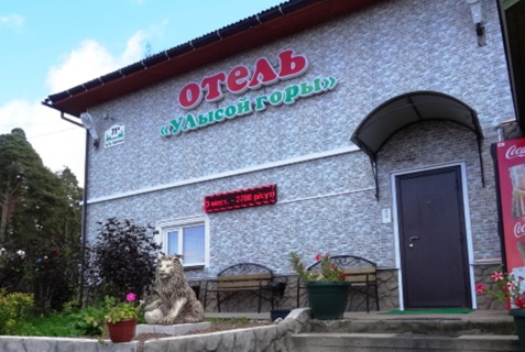 Луга: Мини-отель У лысой горы