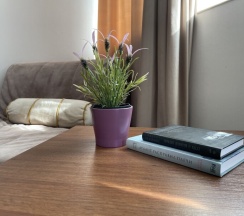 Стандарт с раздельными кроватями в Маяк дом