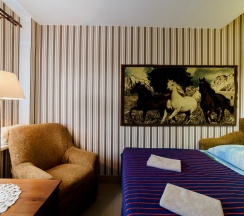 Двухместный с ванной в Родина