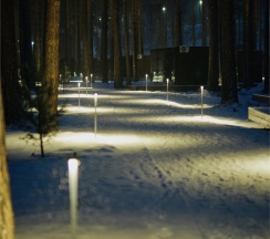 ДОМ ВОЗДУХ (Парящий Дом на холме) в Катунь Dom Hotels