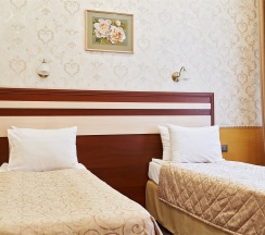 Стандарт Twin+ в Empire Park