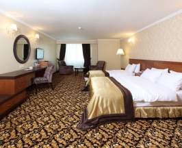 Двухместный номер Deluxe двуспальная кровать в Arya Hotel Business Deluxe