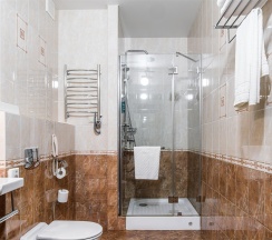 Стандарт одноместный в Green hall