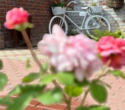 Стандарт в Гостиный дворъ