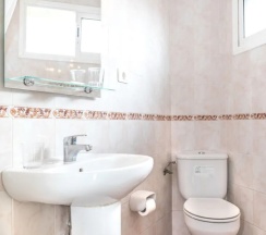 Одноместный номер Standard в Hotel Blanca Paloma