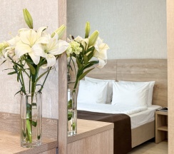 "Стандарт" Стандартный двухместный номер с двуспальной кроватью в Диона