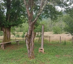 Трёхместный коттедж Economy в Страна Души