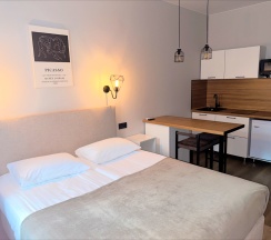 1-комнатные апартаменты студия Лиговский пр-т 48, лит З в Sv grand hotel