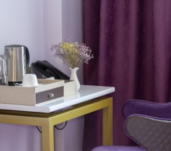 Одноместный номер Standard в Orient Hotel Bishkek (Ориент отель Бишкек)