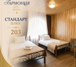 Стандарт плюс № 203 в Гармония