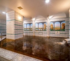 Двухместный номер Standard 2 отдельные кровати в Natural Hot Springs Spa Hotel Hananoi Osaka
