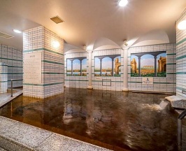 Номер Standard с 5 комнатами в Natural Hot Springs Spa Hotel Hananoi Osaka