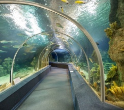 Семейный с балконом с прямым видом на море в Aqualife