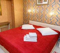 Номер комфорт с 1 двуспальной кроватью в Звездная