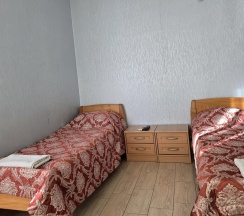 Номер стандарт с 2 односпальными кроватями в Диана