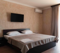 2-местный 1-комнатный номер люкс улучшенный в Ника