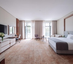 Номер делюкс Элегант с 1 двуспальной кроватью в Источник