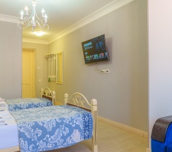 Делюкс с двумя односпальными кроватями в Энергетик