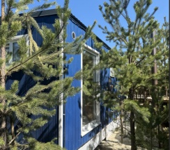 Бельгия в BamBoo Village