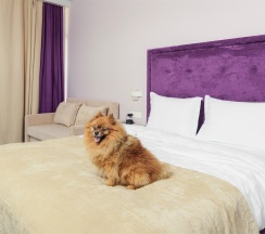 Beta Junior with balcony (dog friendly) в Fioleto Ultra All Inclusive&SPA Anapa Miracleon